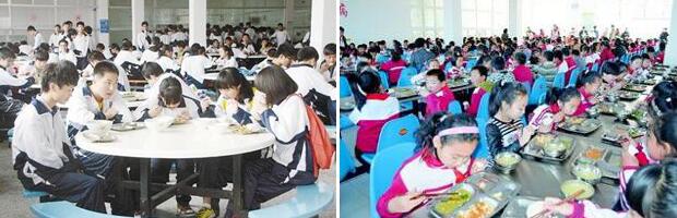 號稱“中小學(xué)營養(yǎng)餐”卻每年浪費(fèi)驚人 問題出在哪？